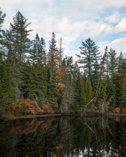 Muskoka RIver