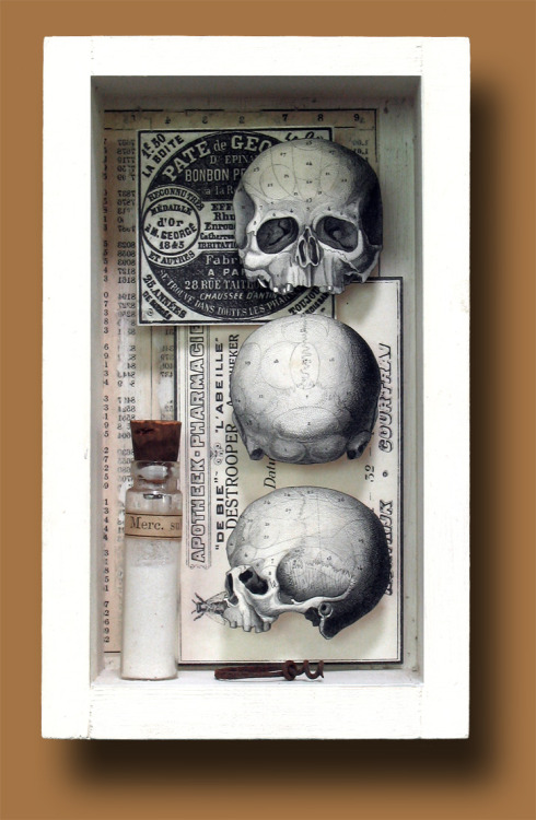 moshita:  Custom open-front shadow boxes. Reproduction and original vintage imagery. 1800s medicine vials and corkscrews. Belle Brocante