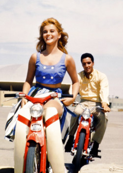 twistcontest:  Ann Margret and Elvis Presley  I just love this movie. I love the fashion . Ughhhh I just love everything about it