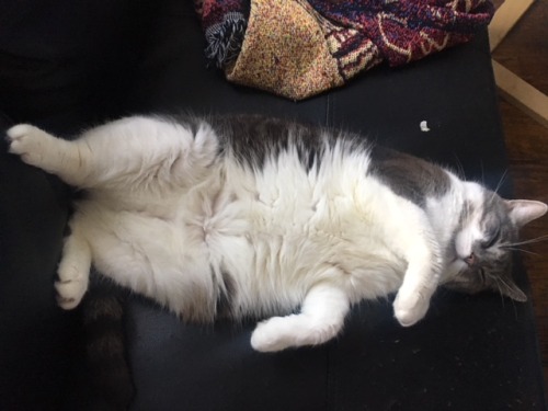 unexplained-events:burgs-bobbers:unexplained-events:unexplained-events:Hey everyone!It’s break