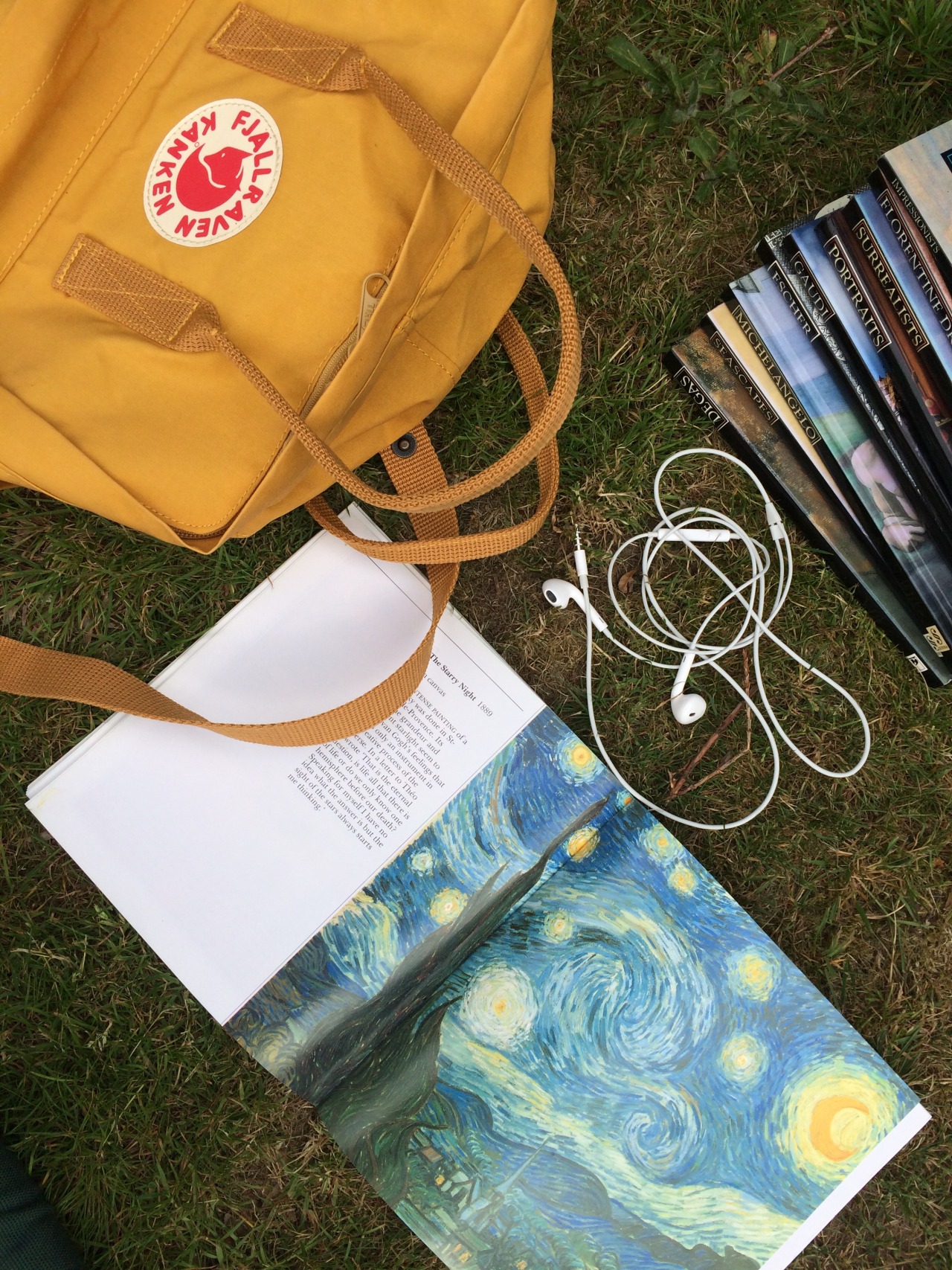 sui-generise:  endless love for van gogh and the plants in my garden