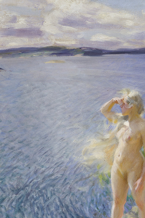 sollertias:In the Skerries by Anders Zorn, 1894 (detail)sollertias:In the Skerries by Anders Zorn, 1