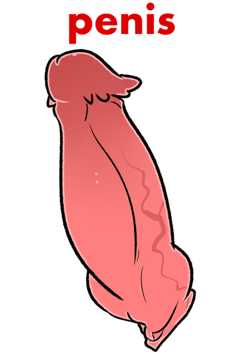 blitzdrachin: Now that i got your attention read this:Tumblr is starting to ban nsfw accounts, so yo