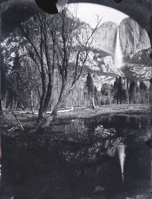 Yosemite National Park 4.2021 whole plate ambrotype.