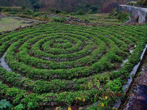 off-grid-inspiration: “Farming technique called ‘baliling’ done by the indigenous peoples of Bayyo in Bontoc, Mountain Province, Cordillera Philippines. Baliling is done by overturning the soil and creating beds after the rice cropping cycle. The