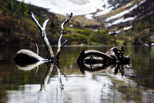 above the snow line in the austrian mountains,&hellip; this hiking trip almost killed me, but the vi