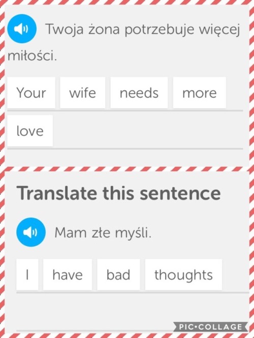 onlyusefulphrases: Some absolute gems, straight outta Poland.