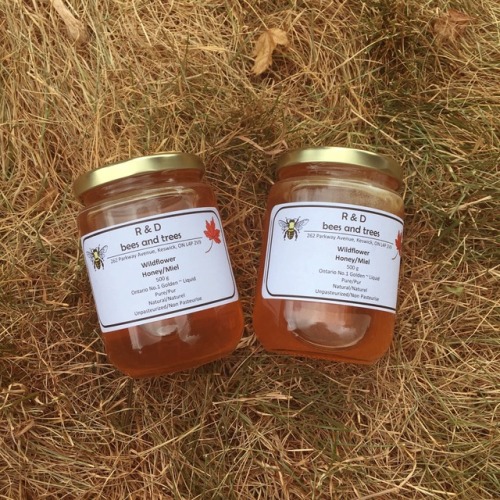 c0ttage: locally sourced honey