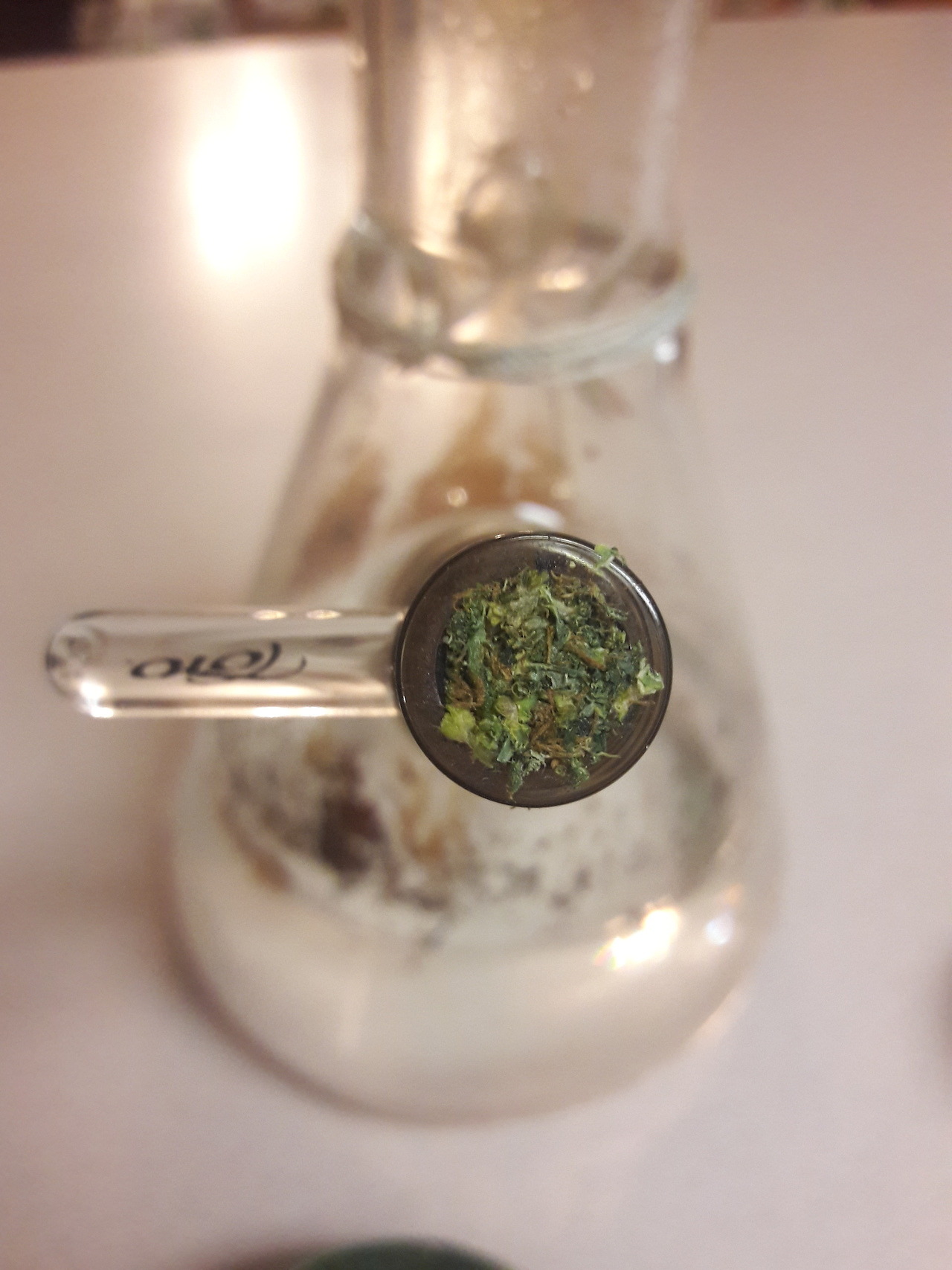 bloomybabe:  mean greens 👑