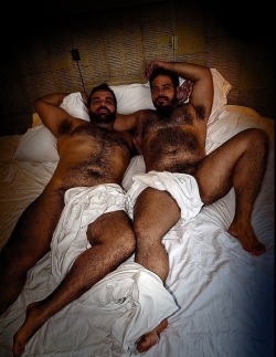 fit-hairy-guys:  Click and follow ‘Fit Hairy Guys’ here!  I would love to be the third and of course in the middle.