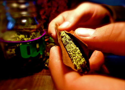 smokethesativa:  smokethesativa:  pineconeherb:  Had to share this @WeHeartIt http://weheartit.com/entry/168035446/via/CoolArtOnline  SmOkE tHe SaTiVa  FoLLoW ThE sAtIVa