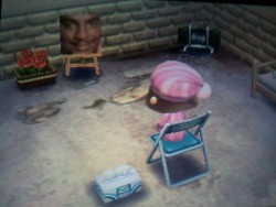 luckyluna22:   I went into a random dream town and this person has a chair, a box of tissues, and a picture of Carlton in their basement. 