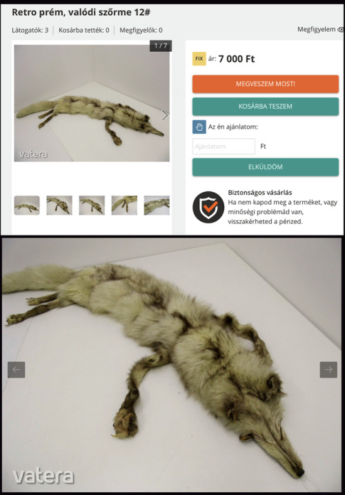 shiftythrifting:Some more roadkill looking fox pelt from VateraWorm on a string?