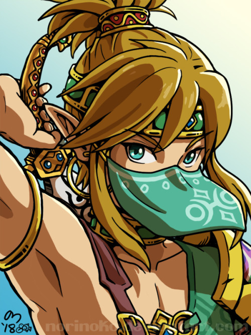 Link in the Voe Gerudo outfit but with the Vai Gerudo face cover. He hot.