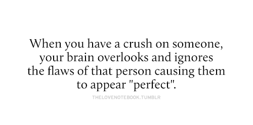 TheLoveNotebook