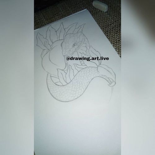 Here you can see one of my artworks from Instagram.Instagram: drawing.art.livehttps://www.instagram.