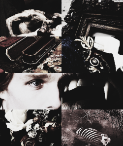 prettyplasma:  AESTHETIC SETS:  lestat de lioncourt. God kills indiscriminately … so shall we. 