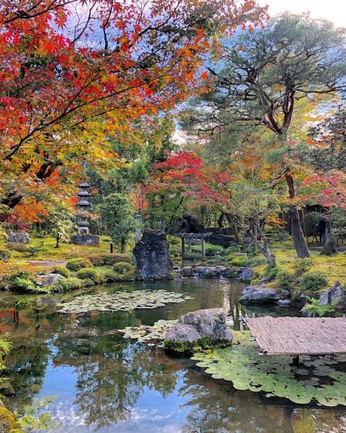 ＼秋の庭園公開情報／ 京都市左京区・南禅寺『大寧軒』の庭園特別拝観が11月に入って始まってました。不定休。11月末まで。 ⇨http://www.nanzen.net/news/index.cgi#7