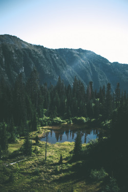 hannahkemp:  Pond//Mount Rainier National Park August 2016