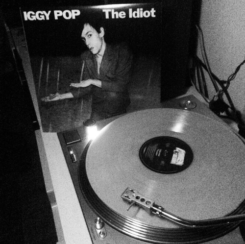 glamrock-lizardman:  The Idiot by Iggy Pop was released March 18th, 1977. Happy 40th birthday to the Idiot!