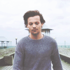 prnouns-deactivated20151210:  louis in sweaters 
