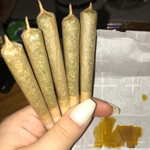 kissnecks:  cone joints of Platinum Kush & Bubba Kush 🍃 and some yummy CandyLand shatter 🍭😋