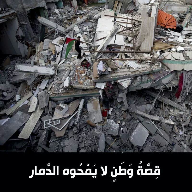 حِصّة✧