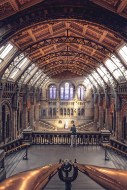 italian-luxury:  Natural History Museum by Jussi Hovi