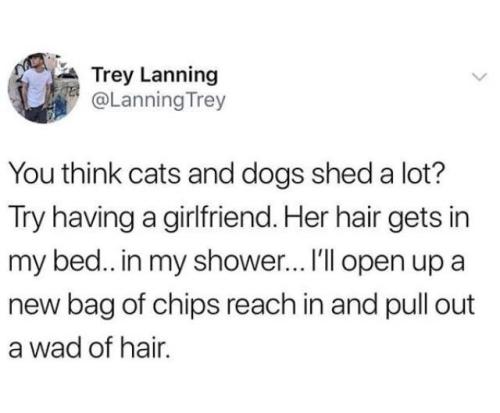 browsedankmemes:  It goes everywhere via /r/memes http://ift.tt/2pvalXk