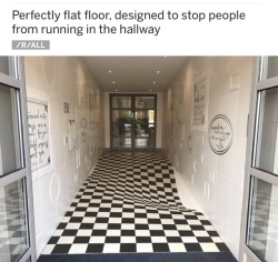 derinthemadscientist: onyourleftbooob: r/InterestingAsFuck Okay but does the museum really need that many dead birds 