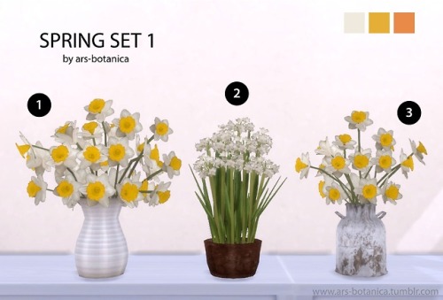 Spring Set Part 1Warning: Some objects are high poly.Dropbox download:Daffodils Vase (1924 LOD0)Pape