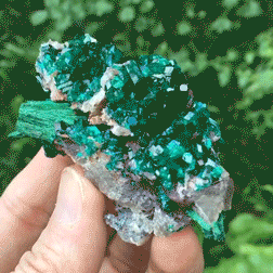 snotstim: ✧✧ ⁞ dioptase/malachite on quartz! 