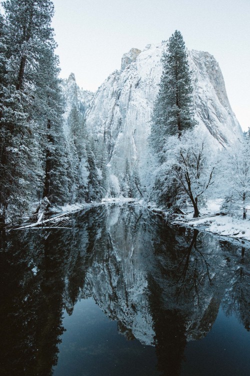 jakechams:  Snowy Yosemite 