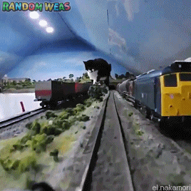 Cat Towers Over Owner’s Model Railway!