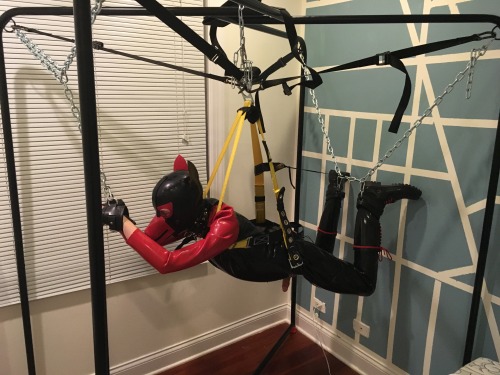 strugglepup:  Arf! New suspension set up is ready for action. Did a quick test run tonight to figure out the best way to go with it. It worked well  hooked up with an electro plug in and milked dry  thanks for a great time as always Alpha pup Delta