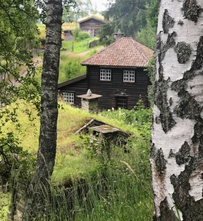 malnedott:some of the old houses on maihaugen 🌱