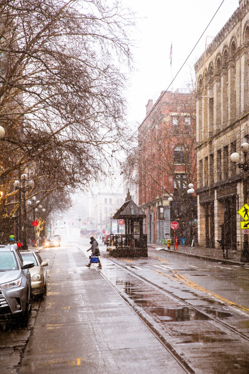 snowy seattle - winter 2019