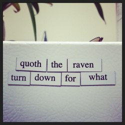 ianthe:  I can’t believe I haven’t posted these yet #magnets #magneticpoetry #turndownforwhat