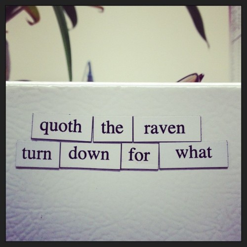 ianthe:  I can’t believe I haven’t posted these yet #magnets #magneticpoetry #turndownforwhat 