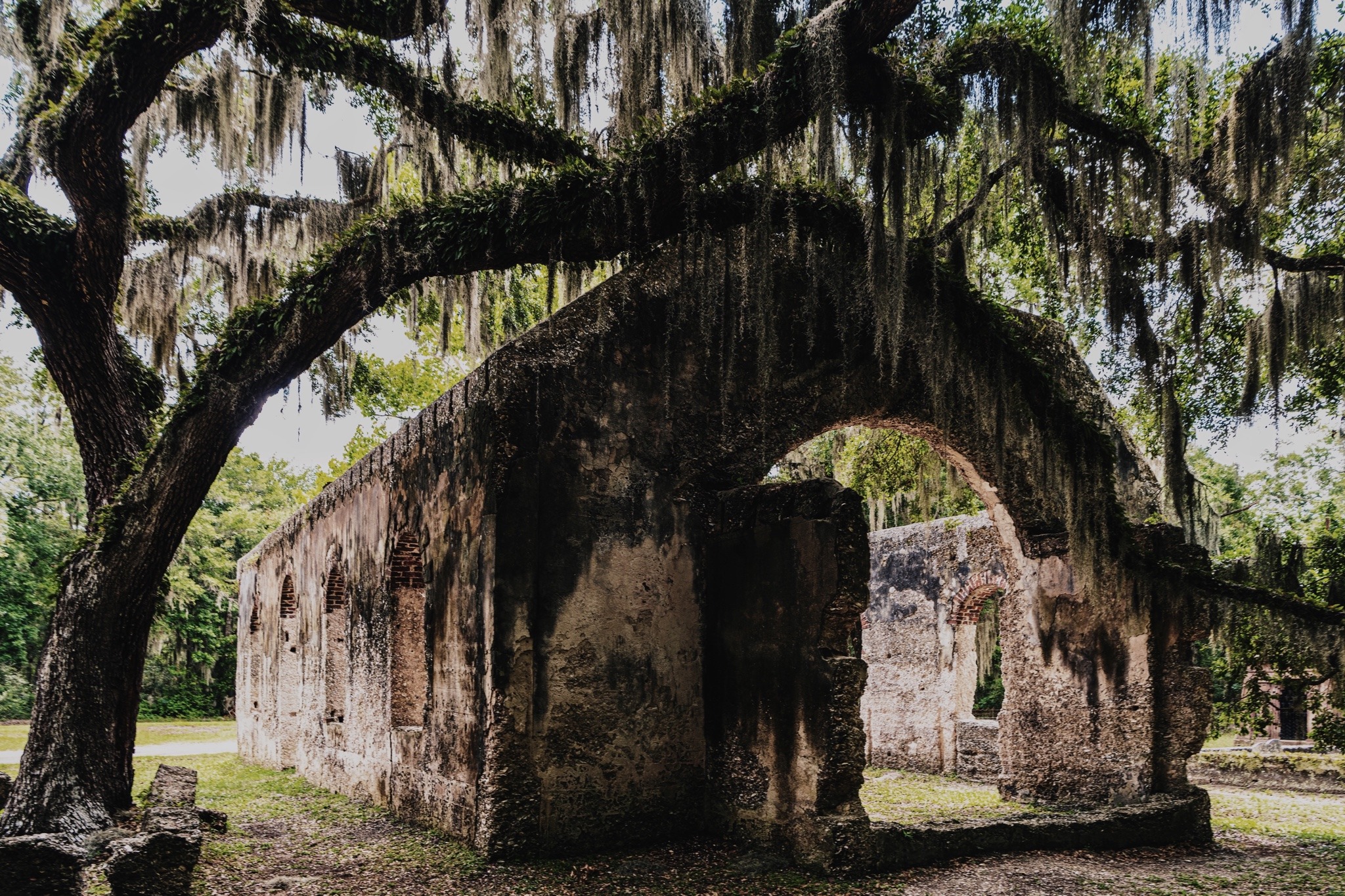 mountain-spirits-deactivated202:Spanish moss + live oaks | Charleston, April 2022