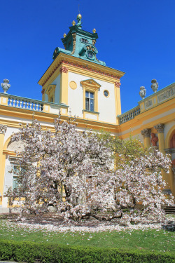 allthingseurope:  Wilanów Palace, Poland