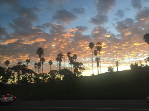 San Diego skies #nature #picoftheday #sunset #sandiego #california #calilife #potd #nofilter #palmtr