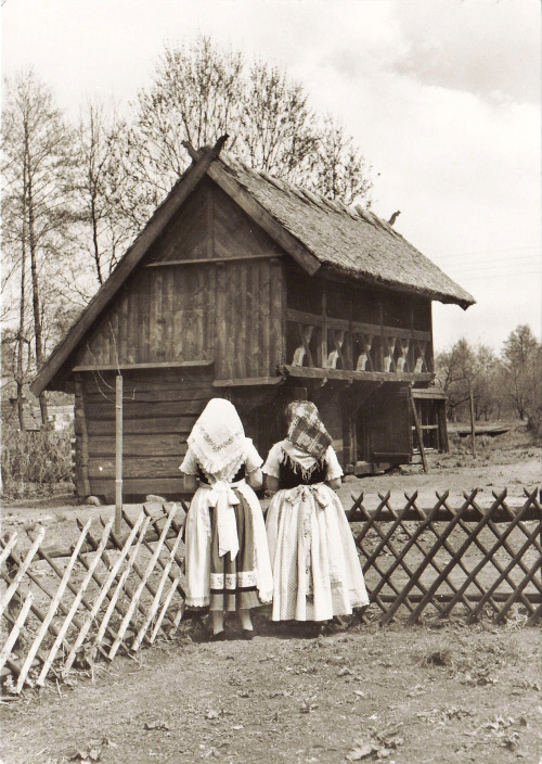 lunacylover: Traditional costumes of Sorbs (also known as Wends, Lusatians, Lusatian Sorbs or Lusati