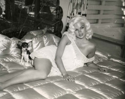 labelleotero:  Jayne Mansfield