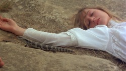 silkenscreen:  Picnic at Hanging Rock (1975)