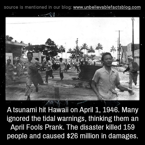 Did a tsunami hit hawaii today video