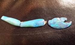 gorgeousgeology: sovexedtofind:  gorgeousgeology:   nerdyginger2307:  earthstory:  gorgeousgeology:  This is a very rare and awesome find. This is a crab claw that has been opalised in the same way that petrified wood is. Very rare and very beautiful