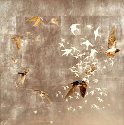 pagewoman: Swallows Return  by Diana Armstrong  