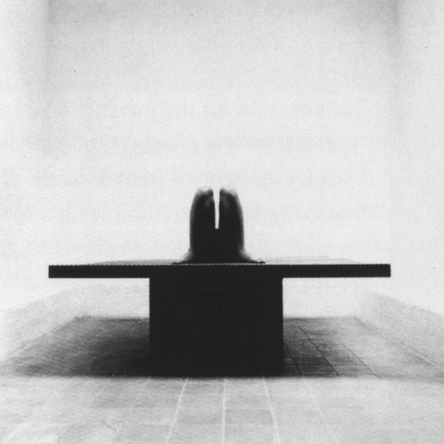 structuredenoir: Robert Häusser, Wing