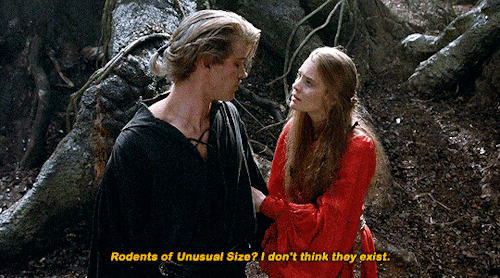 stevensrogers:The Princess Bride (1987) dir. Rob Reiner